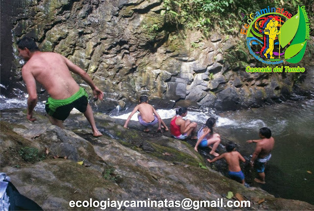 EcoCaminatas la piscinita cascada del Tambo-Tena.