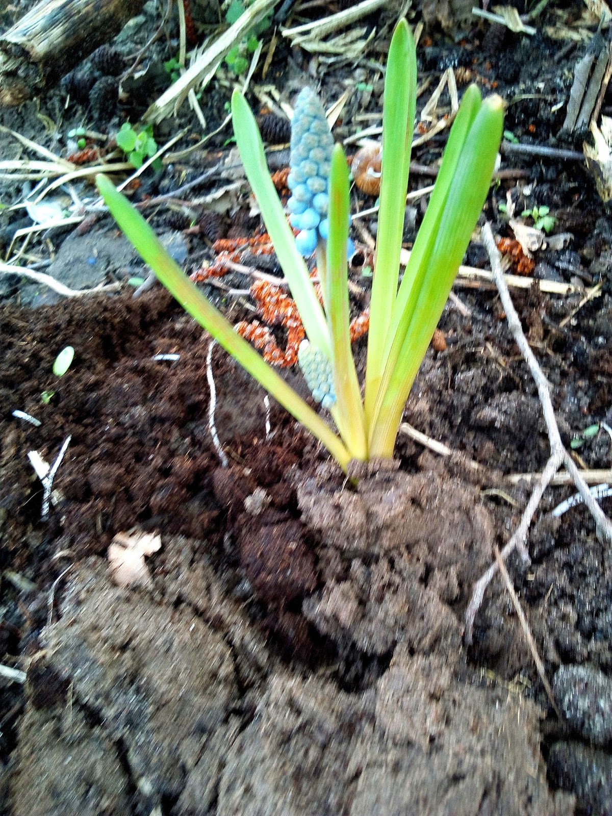 Lucy Und Rasselbande Testet 03 16 17