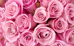 roses pink wallpapers backgrounds rose background desktop pretty bouquet heart