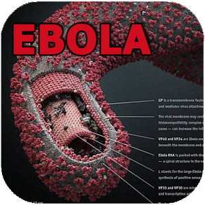 Ebola-App logo