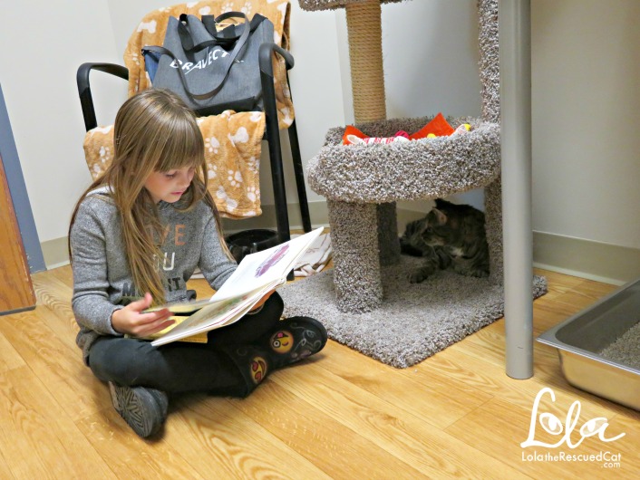 Paws To Read|Tabby's Place