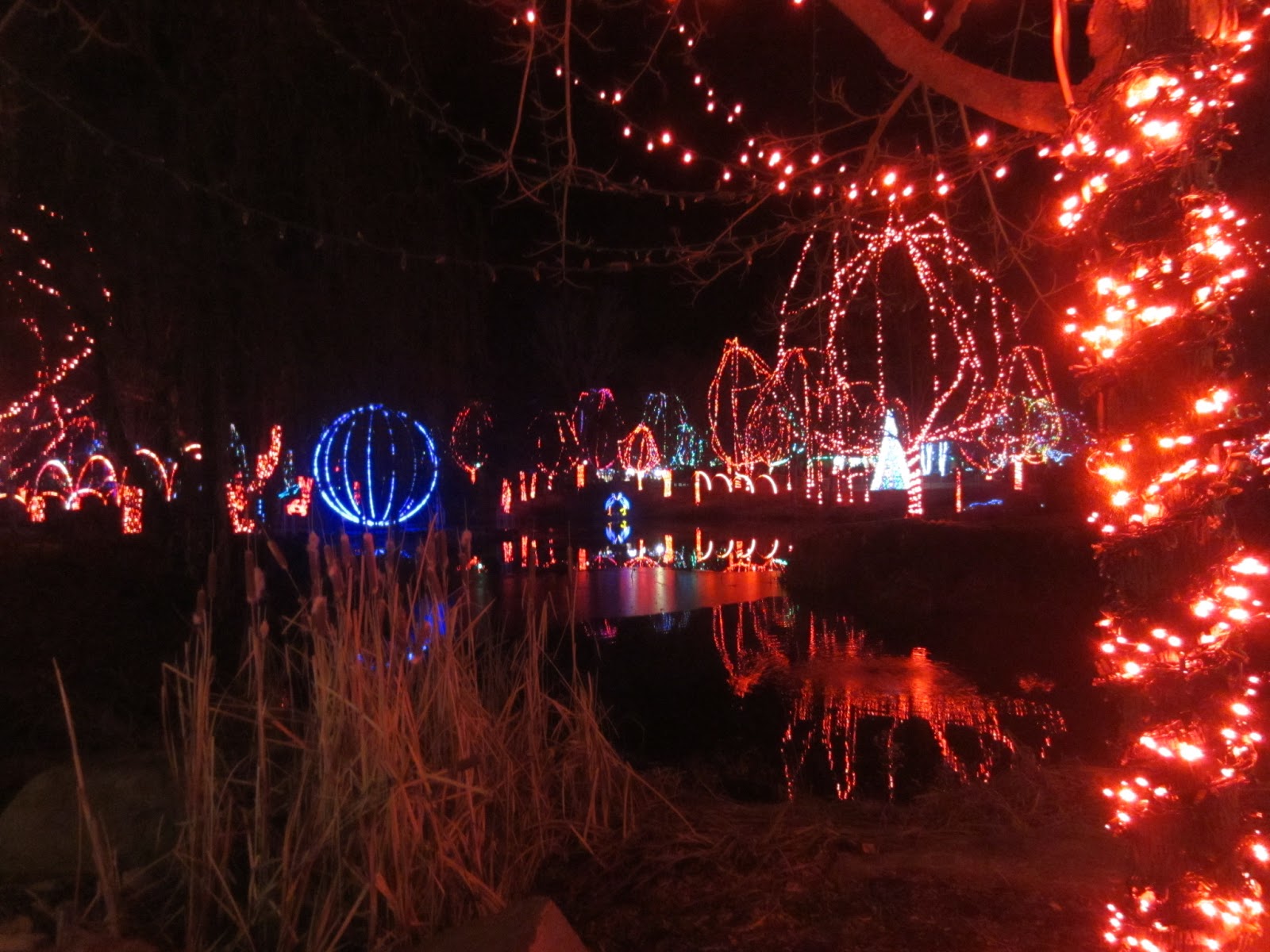 ... Silver Lining: Things To Do In Ohio: Wildlights at Columbus Zoo
