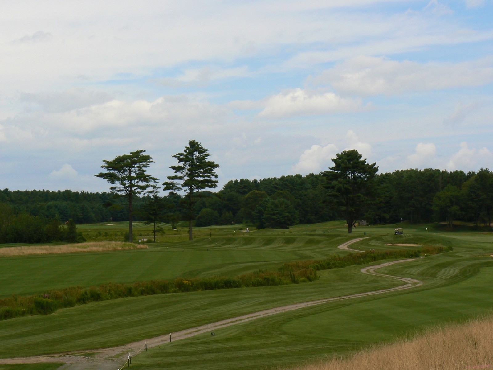 Two GolfersOne Pension Golfing Among Cranberry Bogs