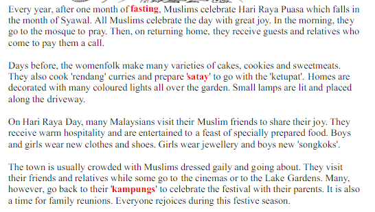 Hari Raya Celebration Essay - malakowe