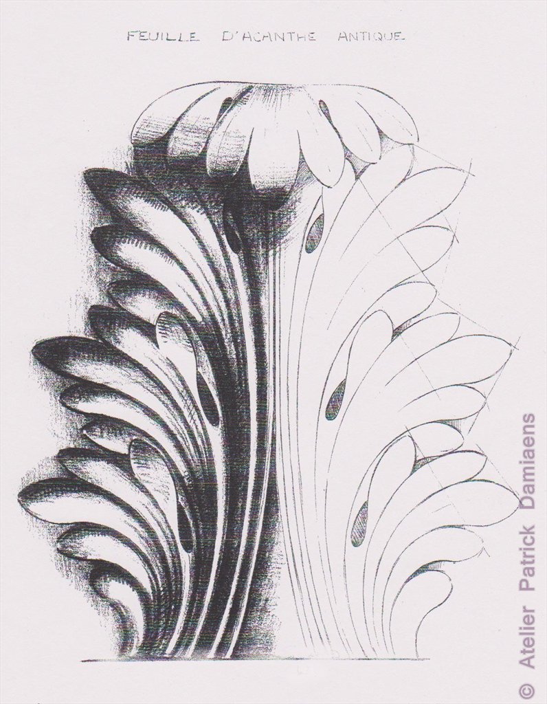 ORNAMENTAL WOODCARVER Patrick Damiaens THE ACANTHUS LEAF ACANTHUS ornamental-woodcarver-patrick-damiaens-the-acanthus-leaf-acanthus