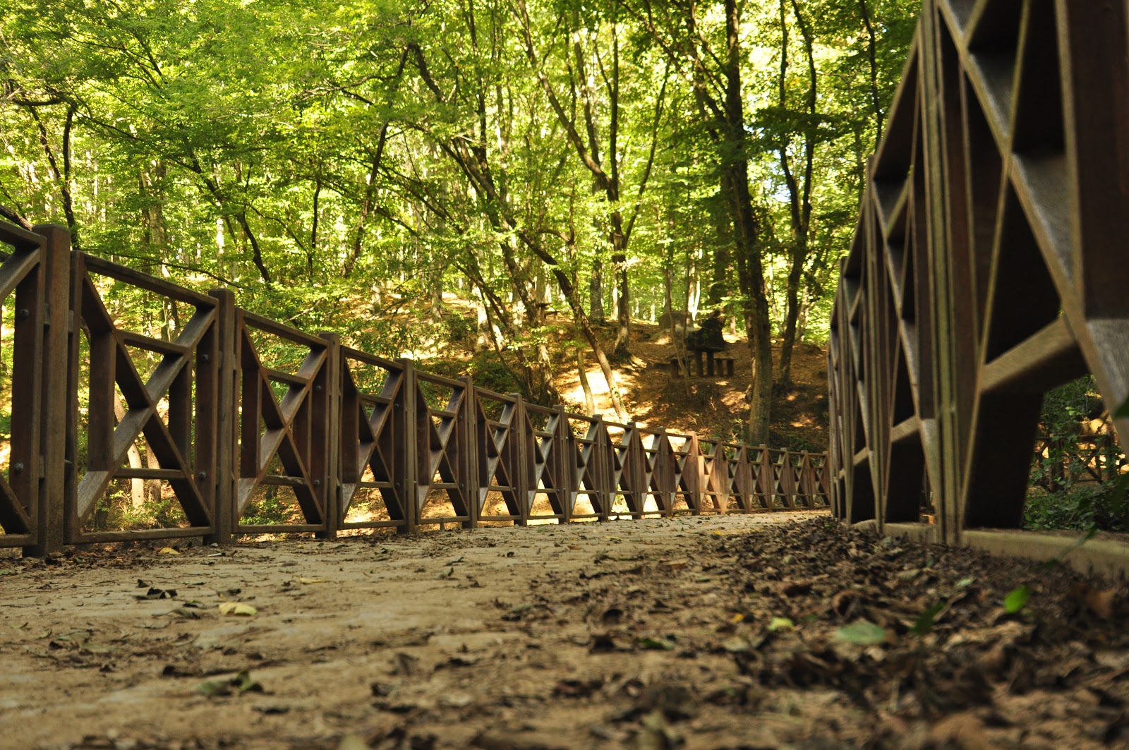 Белградский лес в стамбуле