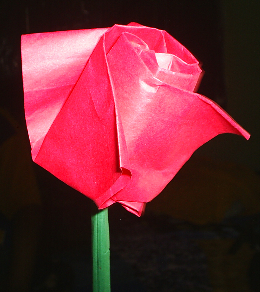 cuarto dan en origami el jardin de origami