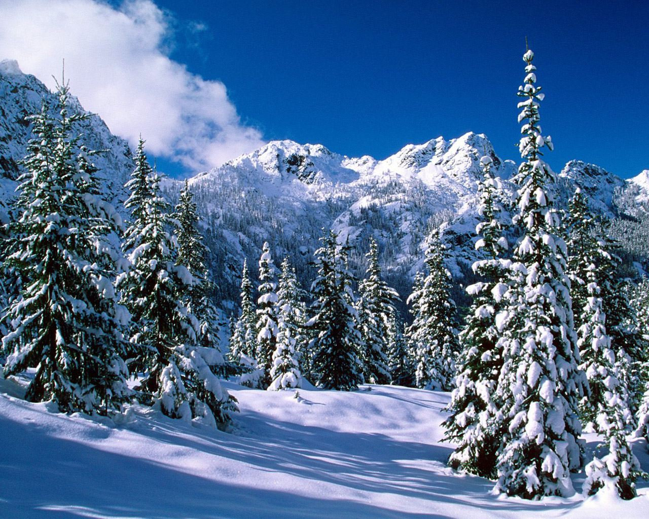 Escenas Hermosas del invierno - The Beauty of Winter | Fotos e Imágenes