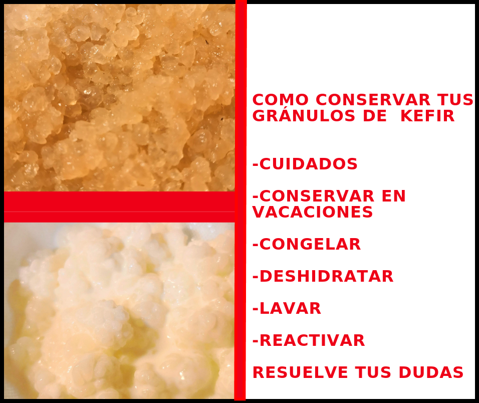 Como congelar kefir de agua