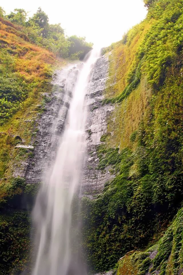 Madakaripura Waterfall