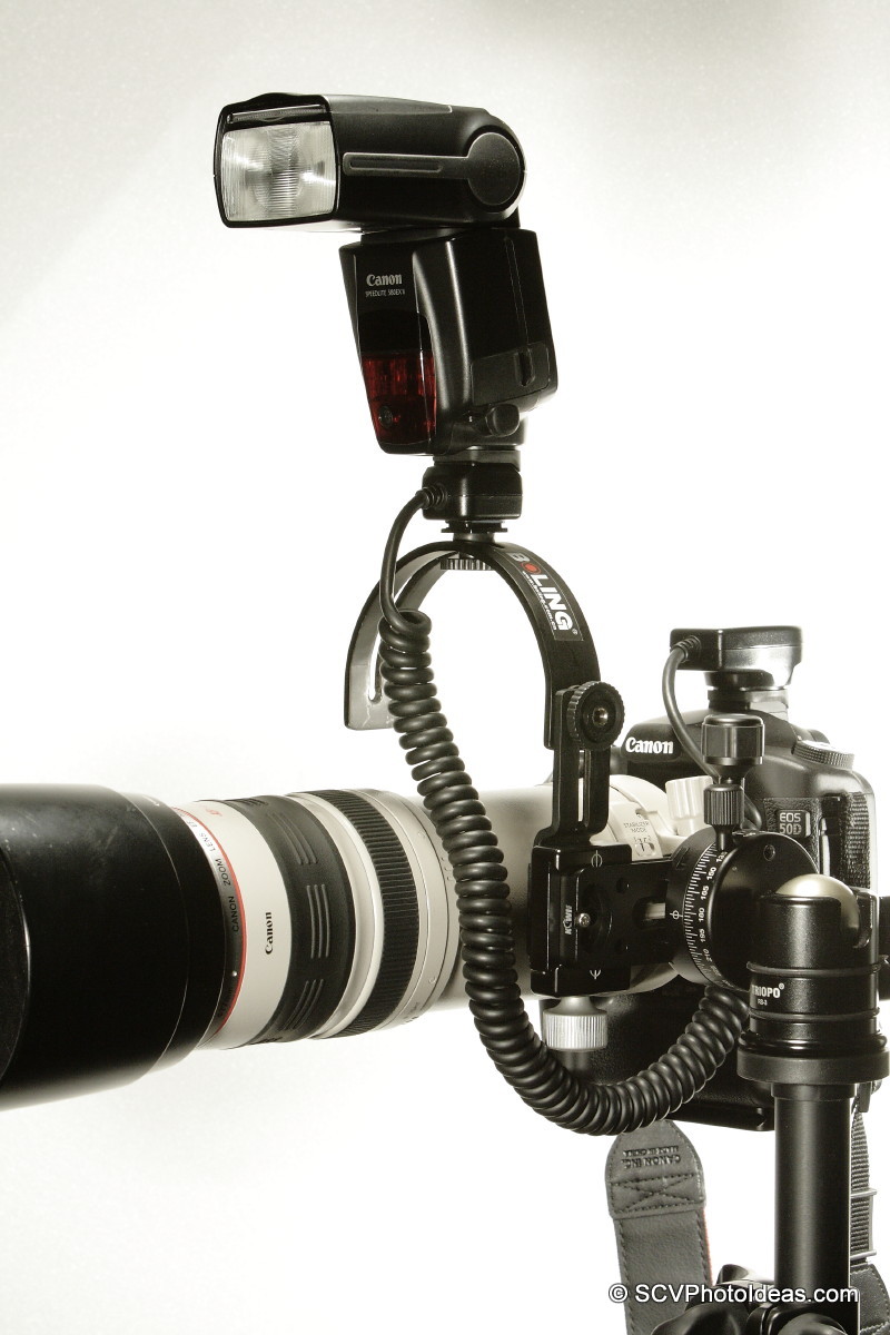 Canon EOS50D +EF100-400L-IS-USM side +Flash bracket+580EX II - full view