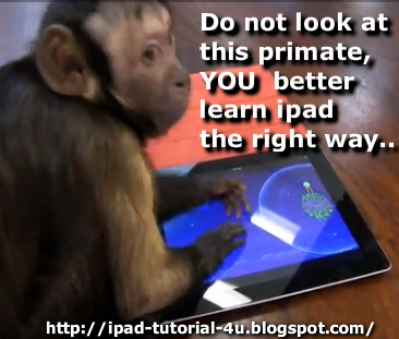 IPAD Tutorial For You