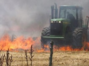Δήμος Καστοριάς: Απαγορεύεται η καύση σιτοκαλαμιών και ξηρών χόρτων