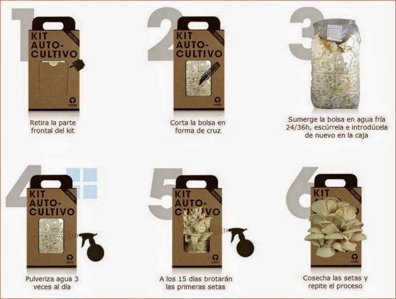 Instrucciones del kit de cultivo de Resetea