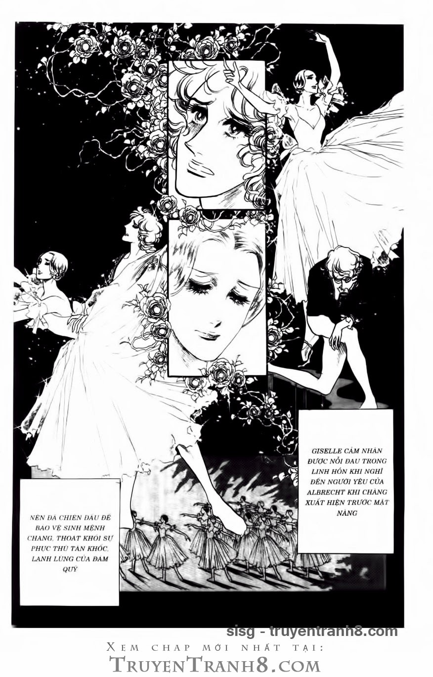 Swan - Vũ Khúc Thiên Nga Chap 95 - Next Chap 96