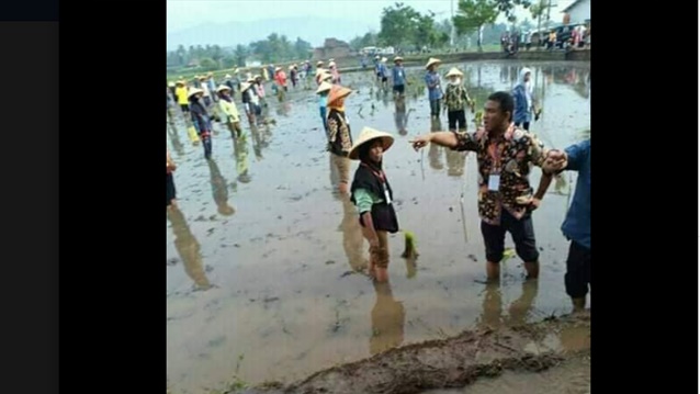 Viral Foto Tolak Pinggang Pengarah Gaya Petani saat Kunjungan Jokowi, Ini Komentar Zeng Wei Jian Viral Foto Tolak Pinggang Pengarah Gaya Petani saat Kunjungan Jokowi, Ini Komentar Zeng Wei Jian