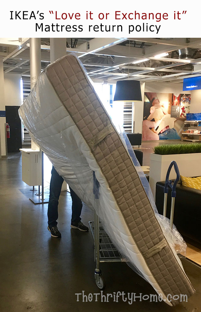 *The Thrifty Home The Best NonToxic, Affordable, and Comfortable