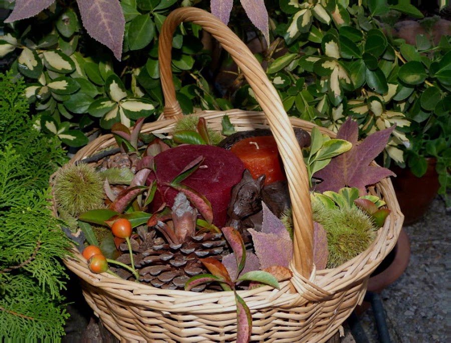 centro-otoñal-elementos-naturales