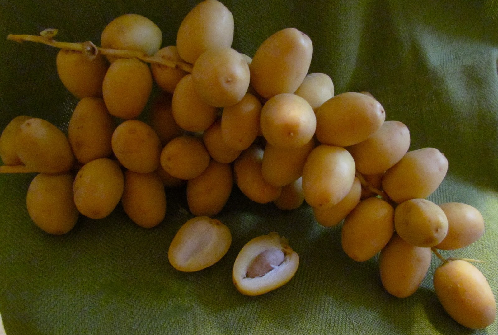 Fresh Fruit Fresh Dates Fruit