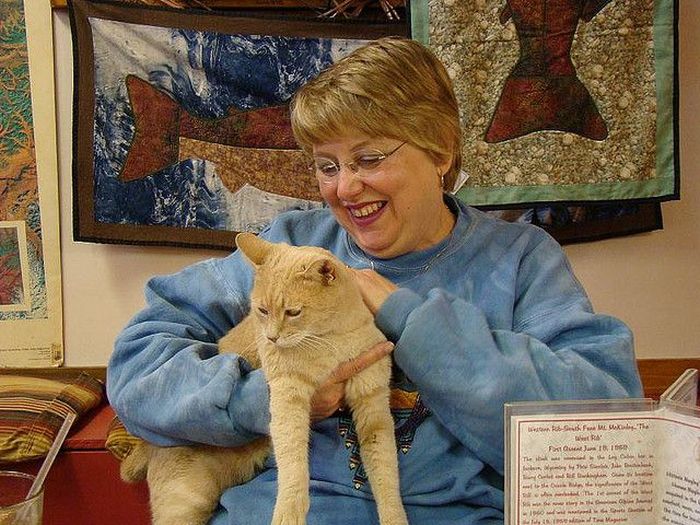 Meet Stubbs, the mayor of Talkeetna (32 pics) Amazing Creatures