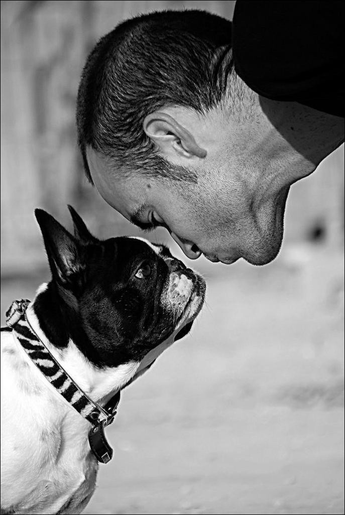 1 собака верный и надежный друг человека. Собака друг человека. Человек с собакой. Собака - лучший друг. Собаки лучшие друзья человека.