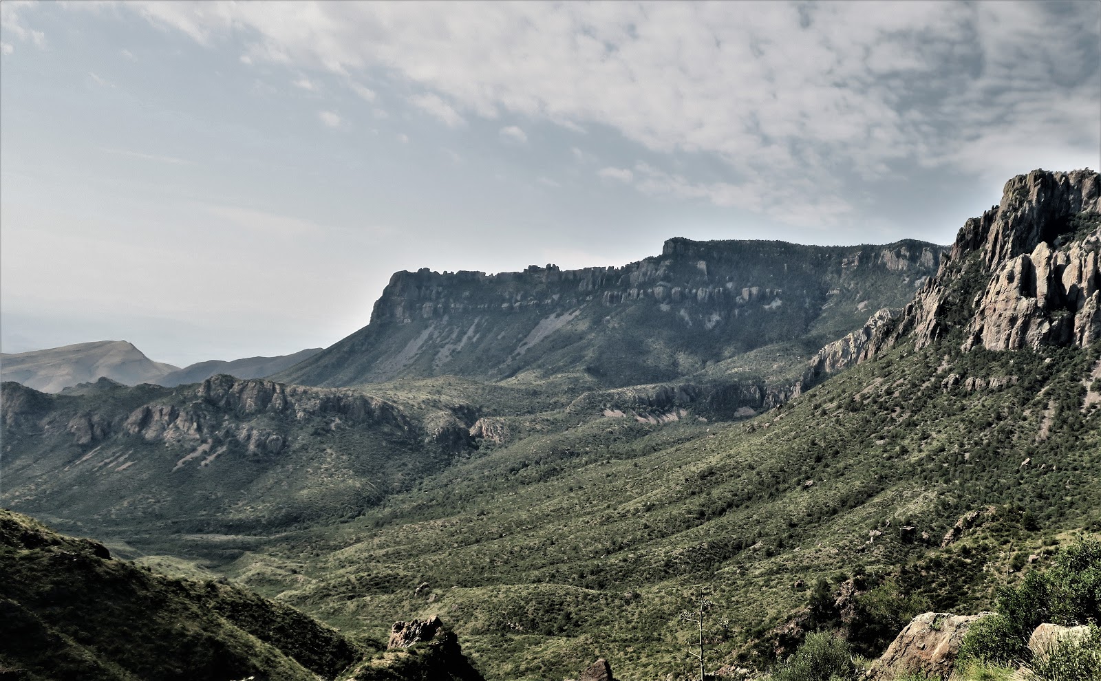 Living Rootless Big Bend National Park Old Mines Trail