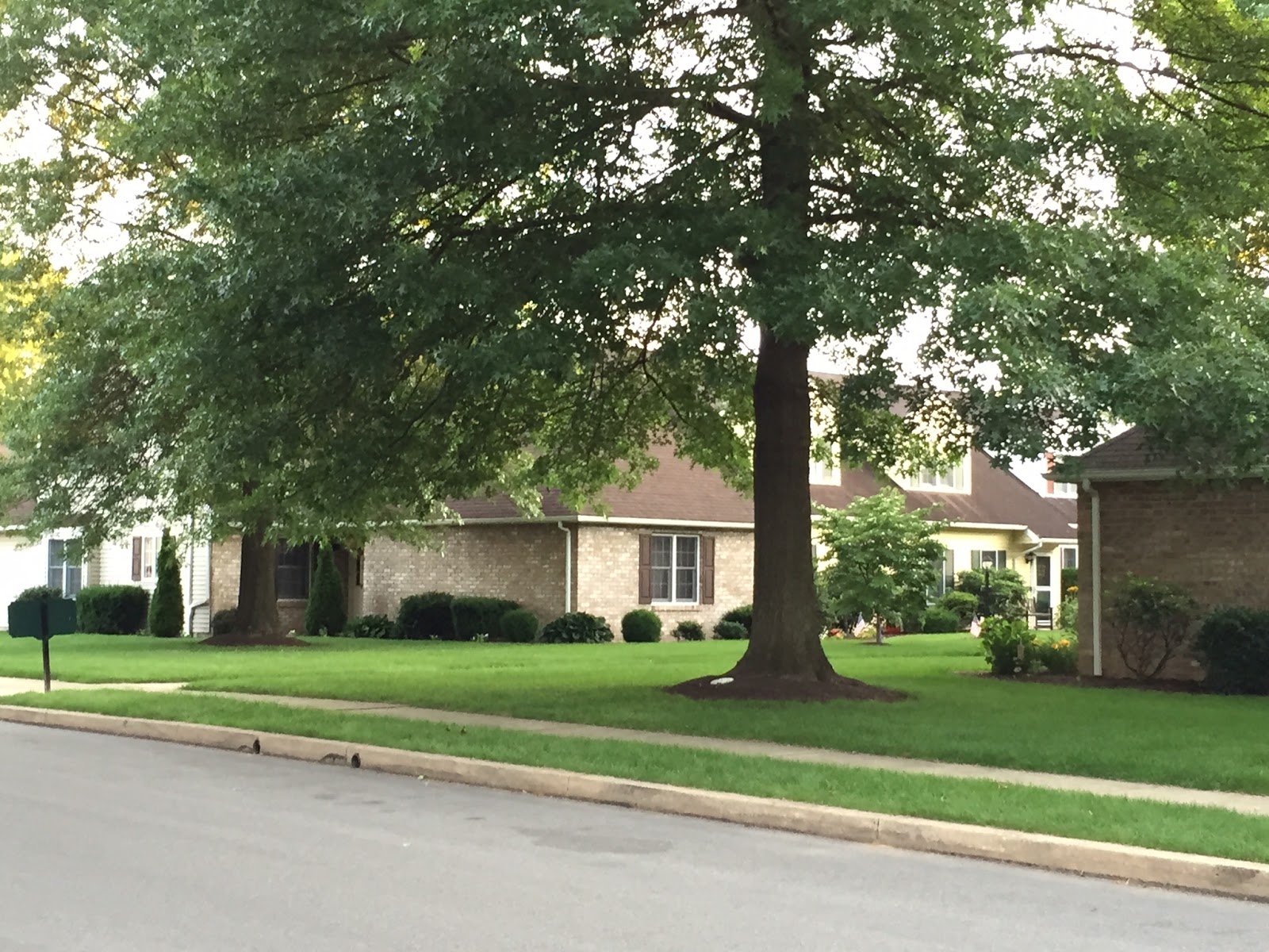 Homewood Oaks Townhouse Association, Williamsport Pa Photo Gallery