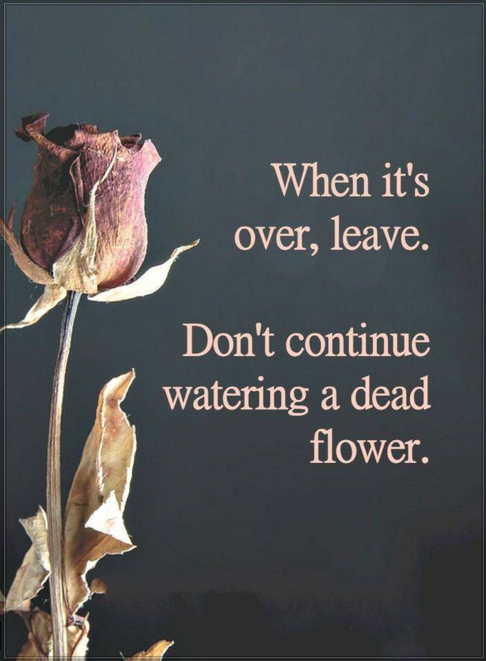 When it's over, leave. Don't continue watering a dead flower Quotes