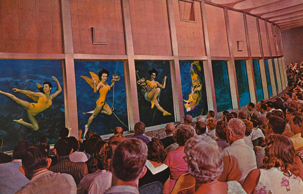 Florida's Weeki Wachee Spring Wonderful Color Photos Capture Amazing