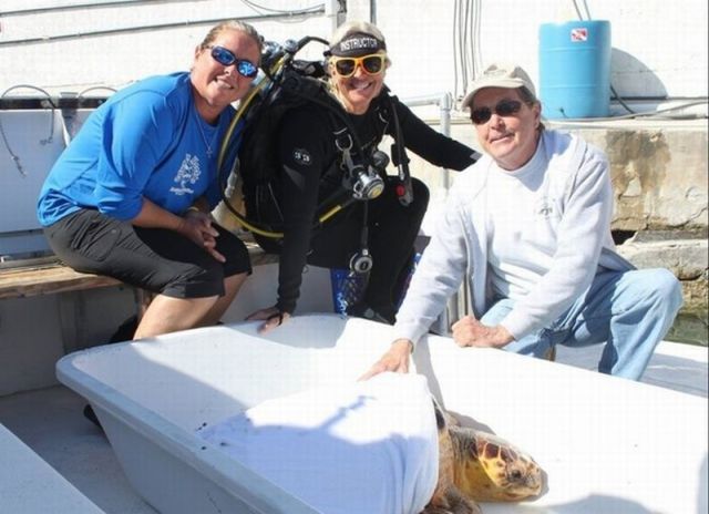 Funny Cool Pictures: Unusual Rescue of a Sea Turtle