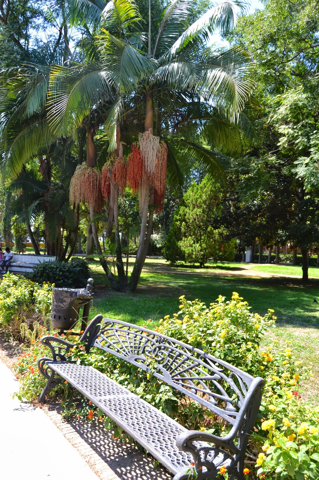ABRIENDO PUERTAS PARA TODOS : Destino Accesible Parques y Jardines