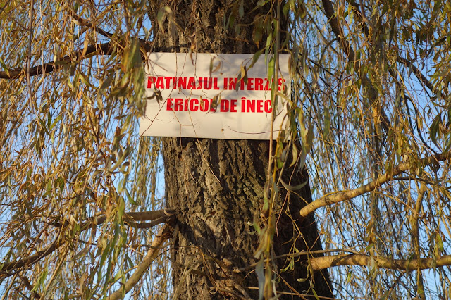 CLUJUL , AZI