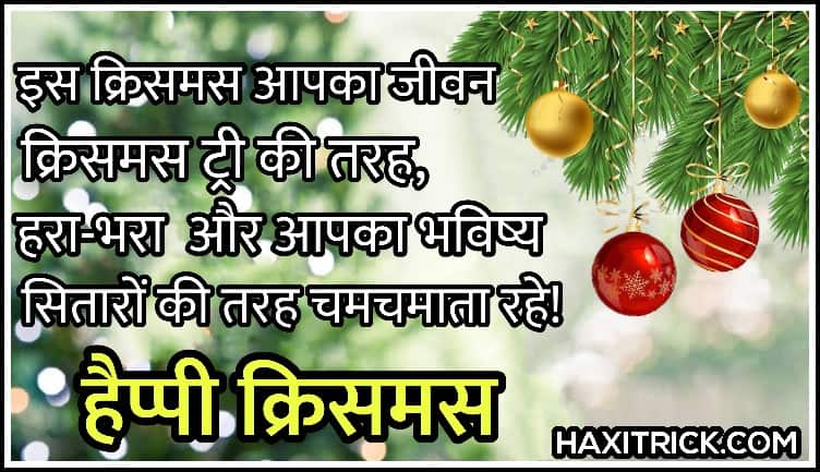 Pe71: wish you happy new year ka matlab Happy New Year and Merry Christmas Images 2021: फोटो, इमेजेस, वॉलपेपर हिंदी/मराठी/इंग्लिश