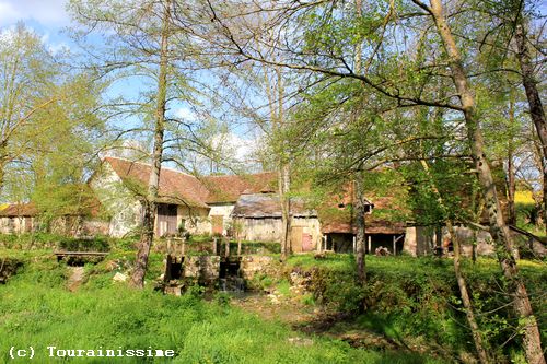 Tourainissime © NeuillyleBrignon