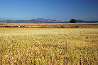 Gallecs: Mollet del Vallès (Barcelona, Spain) per Jorge Franganillo a Flickr