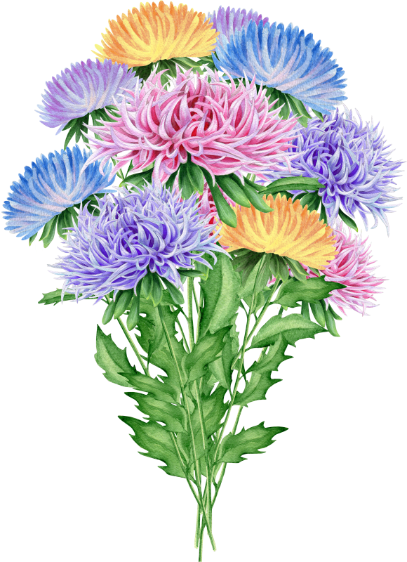 Please Flowers