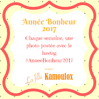 http://mamanbobo.fr/2017/01/02/annee-bonheur-2017/