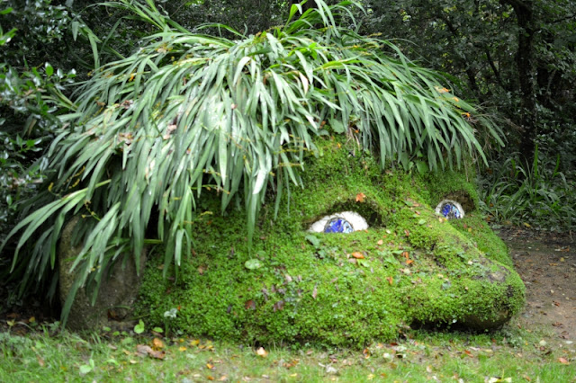 The Lost Gardens of Heligan Cornwall The Giants Head