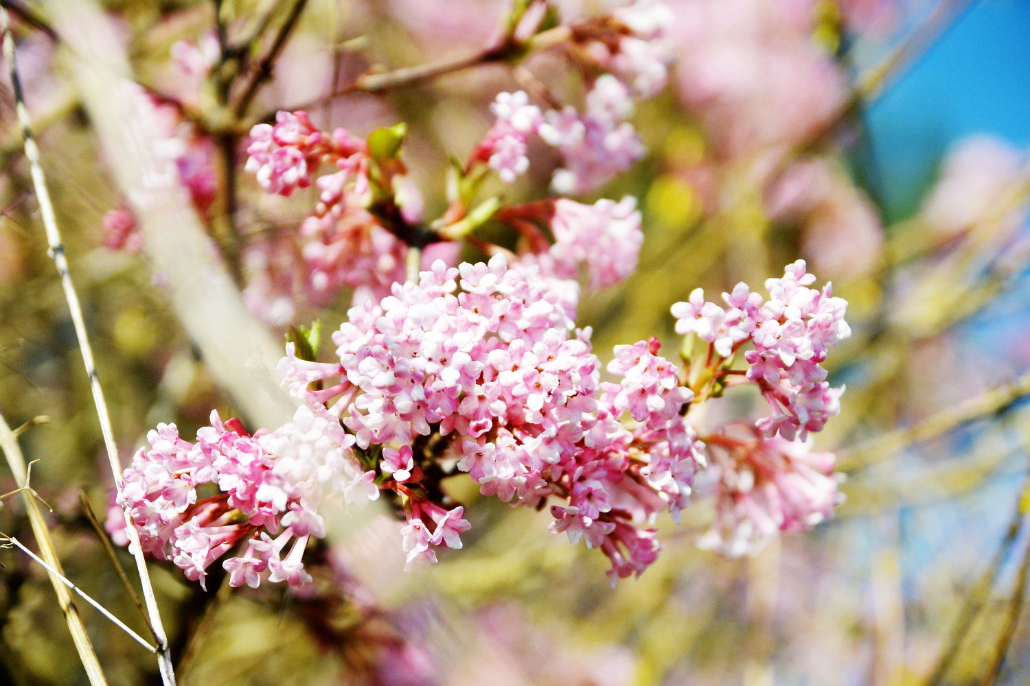 Unidays Schubladendenken Lookslikeperfect Net Reisen Mode