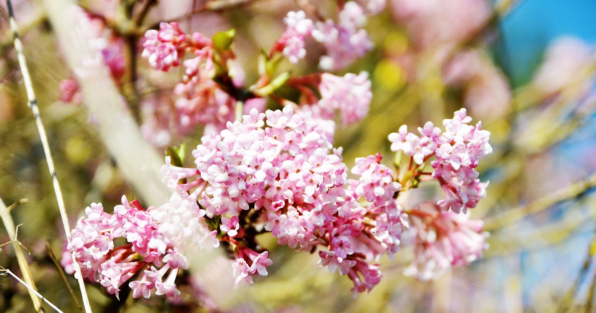 Blackpink Instagram Update Blackpink Jennie Blackpink Kpop