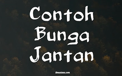 5 Contoh Bunga Jantan Ilmusiana