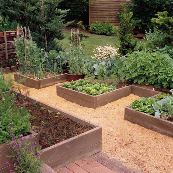 New Home Interior Design: Grow a Vegetable Garden in Raised Beds