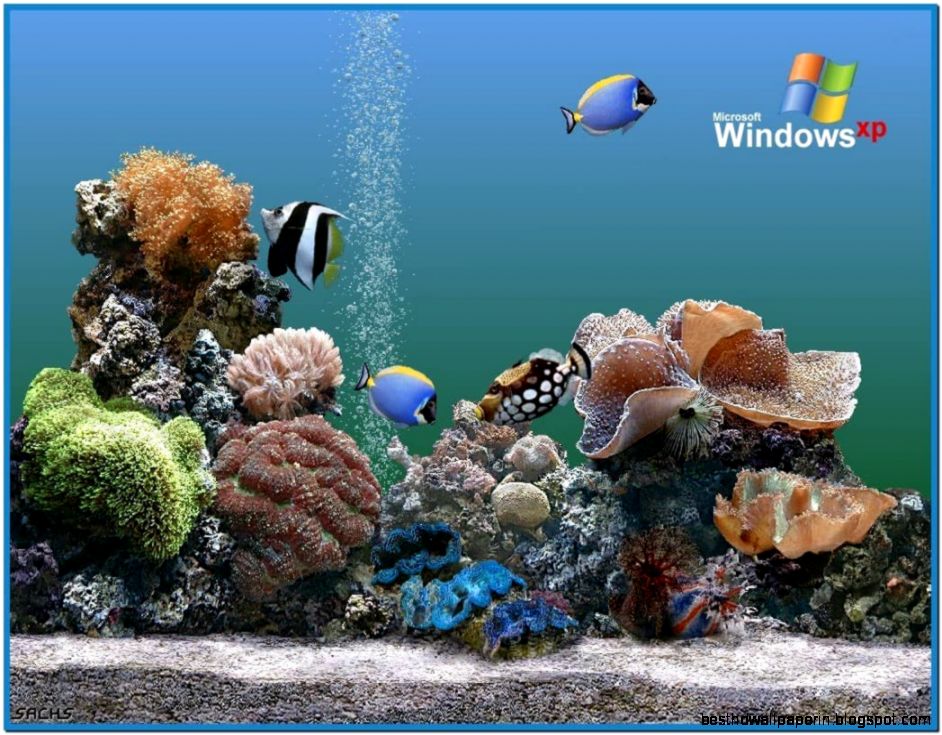 Free Fish Aquarium Screensaver Windows 7