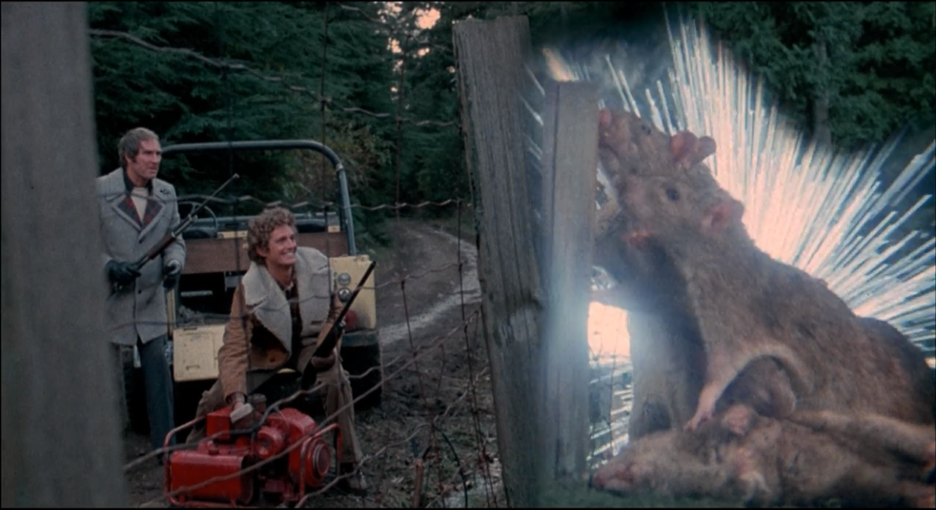 El Abismo Del Cine Las mejores películas de ratas y ratones