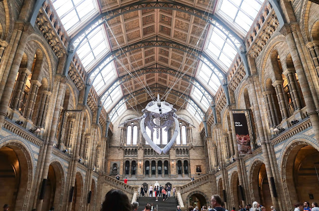 Natural History Museum