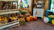 Fall decorations farm market