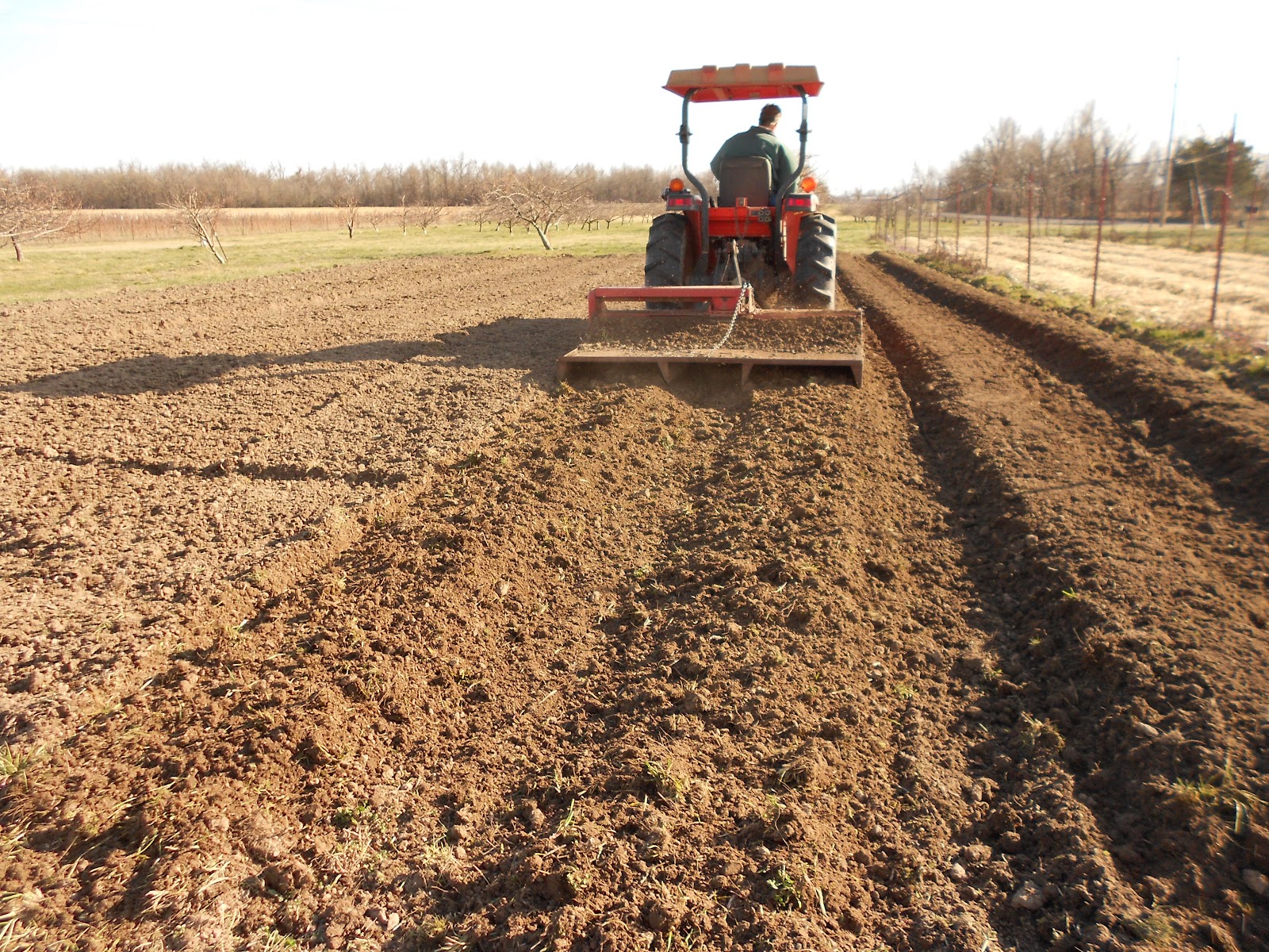 How To Make Raised Beds For Strawberries