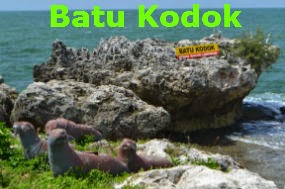 Batu Kodok