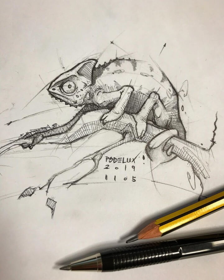 12-Chameleon-Psdelux-Animal-Drawings-www-designstack-co