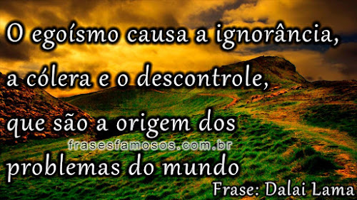 Frases de Dalai Lama: O Egoísmo causa a Ignorância, a Cólera e o Descontrole
